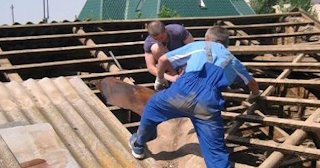 Демонтаж крыши в Дальнегорске - стоимость работ от 734 рублей за м2